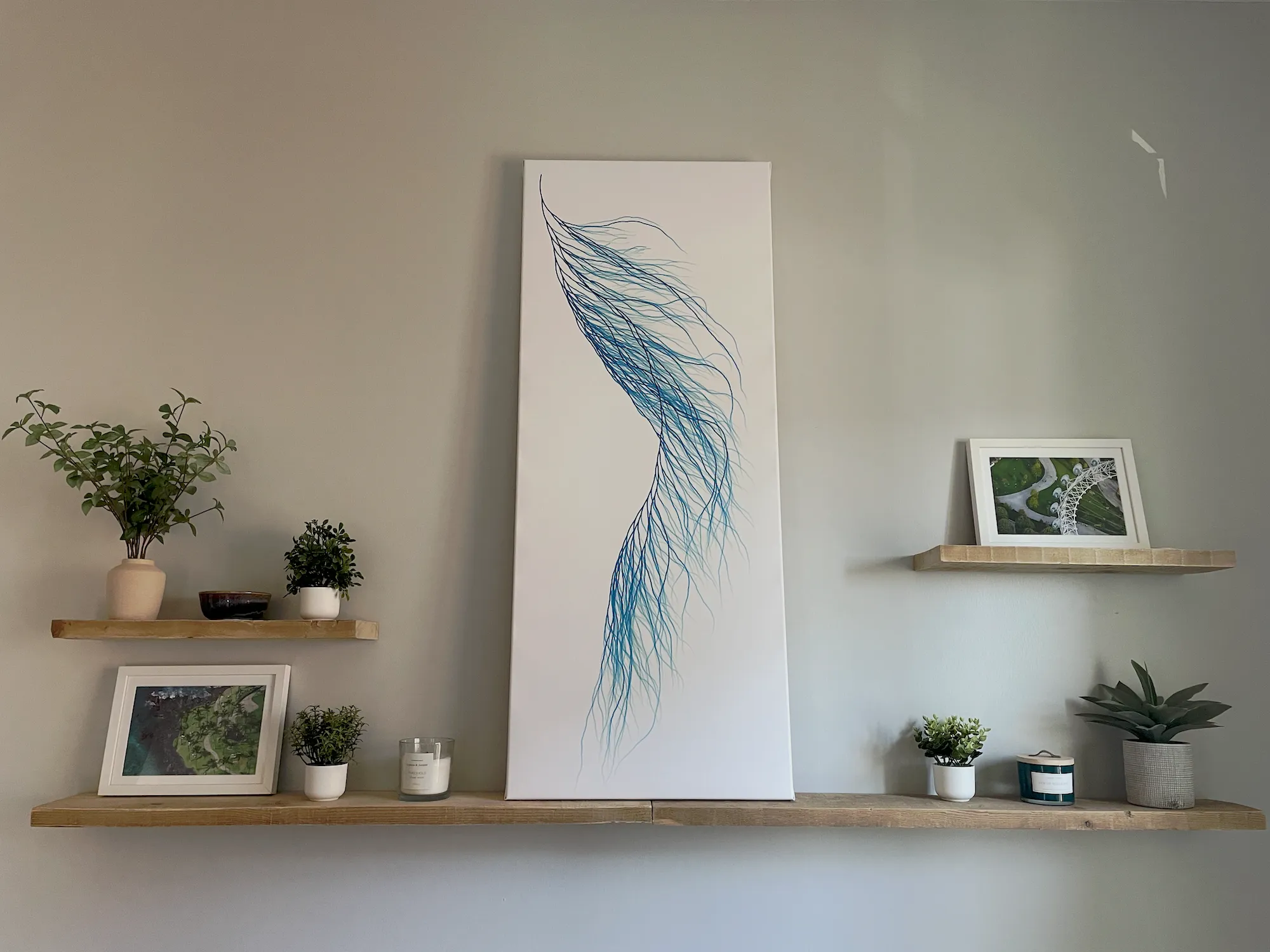 A large canvas with the feather visualization above, sitting on a wooden shelf, with plants and two small pictures of greenery
